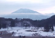 ̂̎d`GI@2020N311